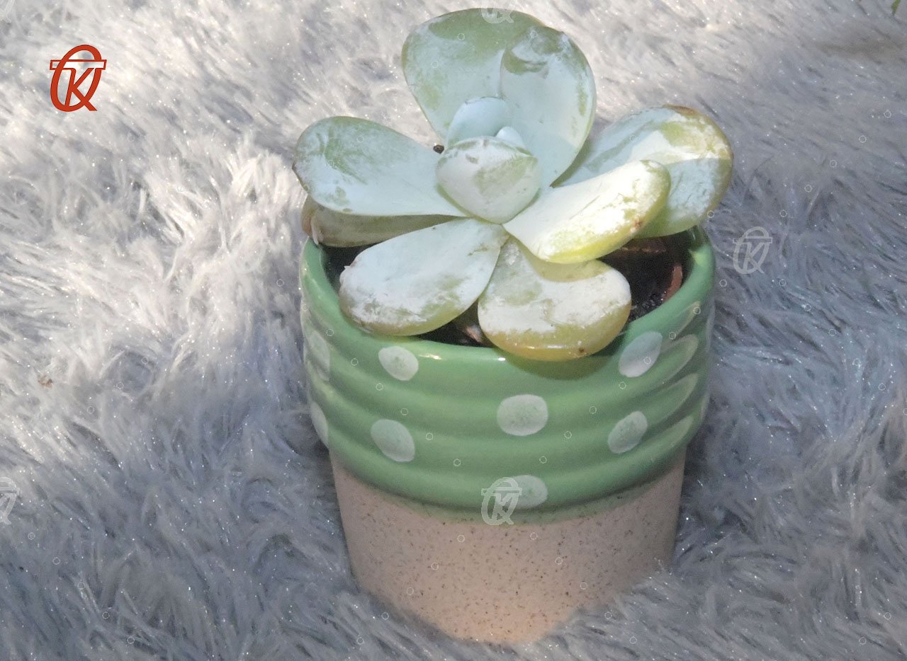 office home tabletop decorative ceramic plant pot