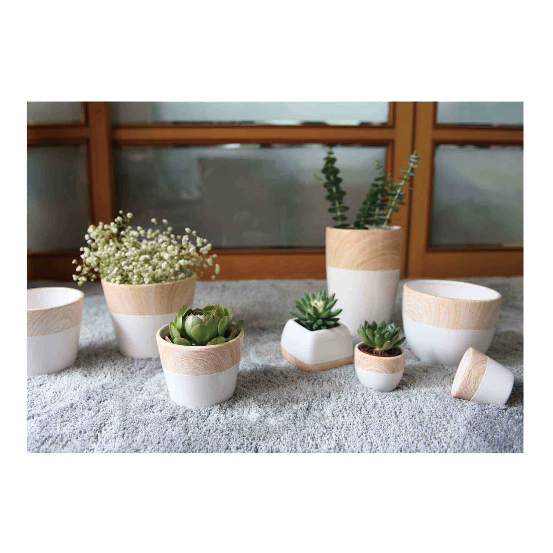 Round Square Mini Fleshy Plant Flower Pot Machine Ceramic Planter