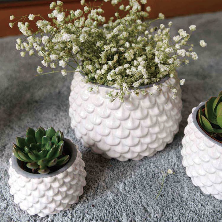 Most Popular Desk Decor Ceramic Small Flower Planter Pot For Succulent