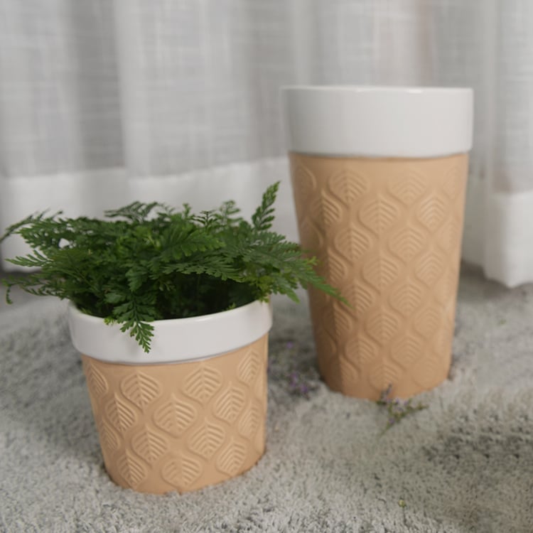 Hot Selling Design Cactus Succulent Glaze Ceramic Flower Pot