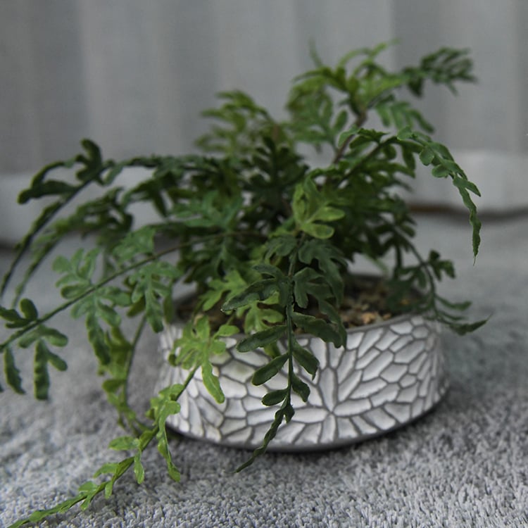 Custom Cheapest Vintage Indoor Decoration Clay Planter Carved Cement Flower Pot