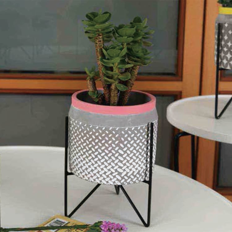 Factory Custom European Style Cement Flower Pot And Plants