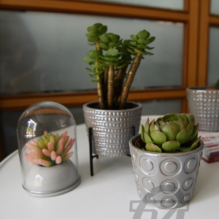 New Style Glass Cover Bonsai Ceramic Planter Decor Flower Pot
