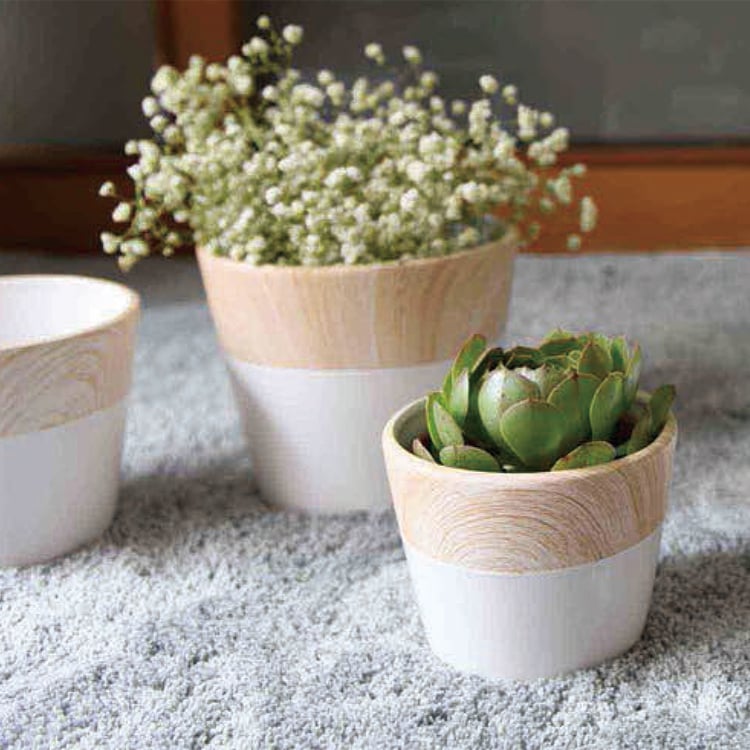 Best selling product modern bowl shape ceramic garden planters flower pot