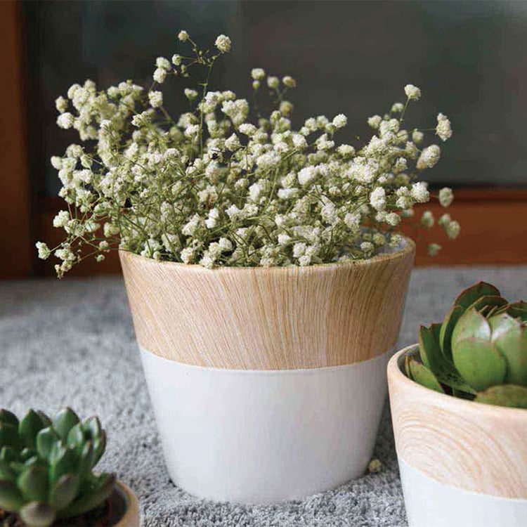 Best selling product modern bowl shape ceramic garden planters flower pot