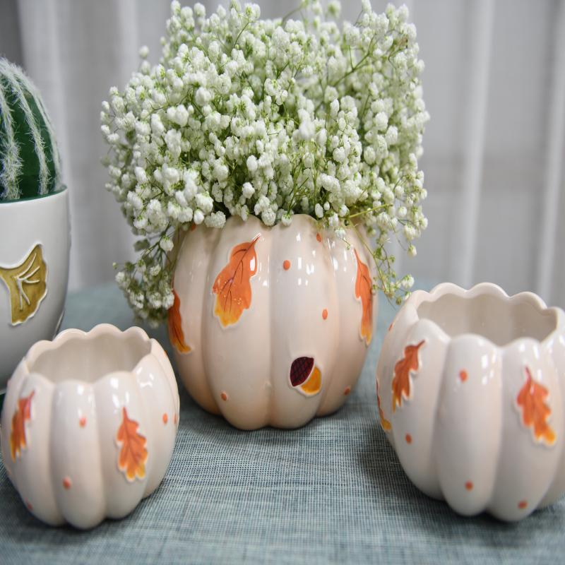 Ceramic Succulent Flower Pot For Plant Indoor And Outdoor